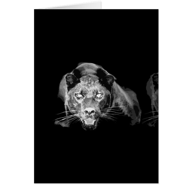 Black & White Jaguar -Wild Cats Cards For Sale (Front)