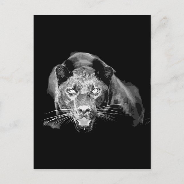 Black & White Jaguar -Wild Cats Postcard (Front)