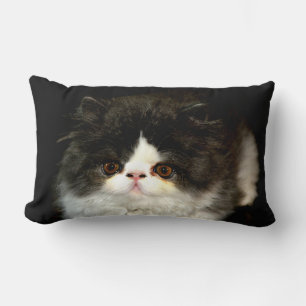 Black White Kitten black white cute cat Lumbar Cushion
