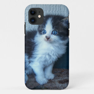 Black + White Kitten iPhone 11 Case