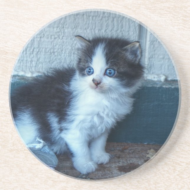 Black + White Kitten Coaster (Front)