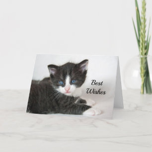 Black White Kitten Congratulations Wedding Card