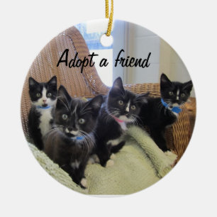 Black & White Kittens Ceramic Tree Decoration
