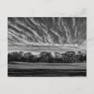 Black & White Landscape Central Park Photo Postcard
