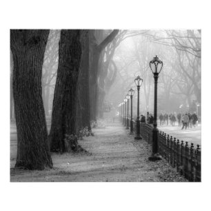 Black & White Landscape in Central Park Photo Print