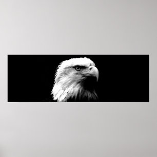 Black & White Leadership Eagle Eyes Door Poster