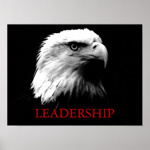 Black White Leadership Eagle Eyes Poster