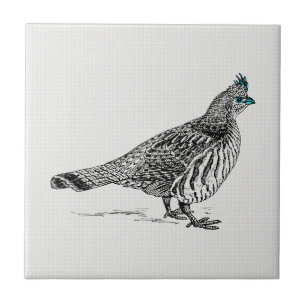 Black & White Line Drawing Wild Bird Ceramic Tile