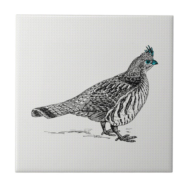 Black & White Line Drawing Wild Bird Ceramic Tile (Front)