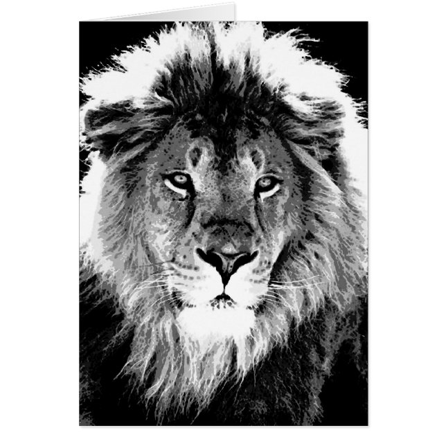Black & White Lion (Front)