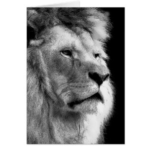 Black White Lion
