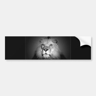 Black & White Lion Bumper Sticker