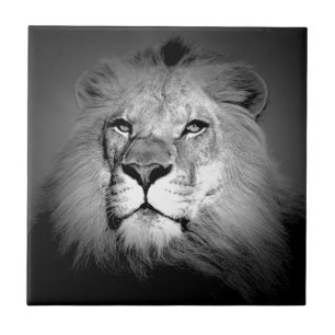 Black & White Lion Ceramic Tile