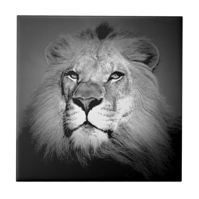 Black & White Lion Ceramic Tile (Front)