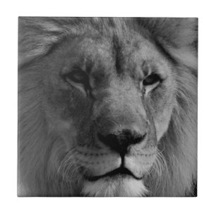 Black & White Lion Ceramic Tile