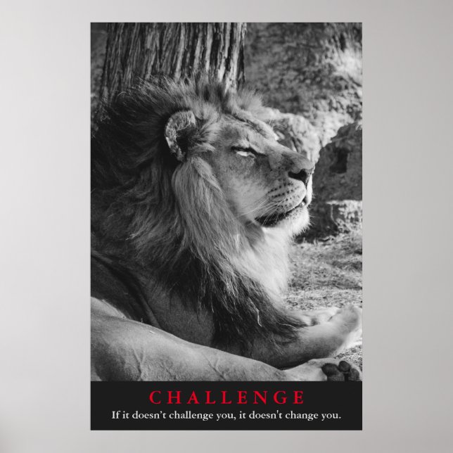 Black & White Lion Challenge Poster (Front)
