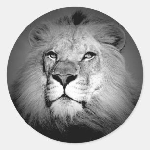 Black & White Lion Classic Round Sticker