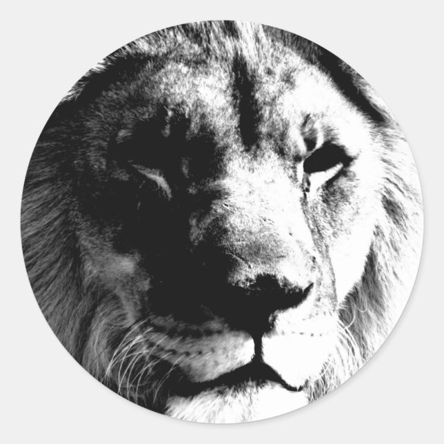 Black & White Lion Classic Round Sticker (Front)