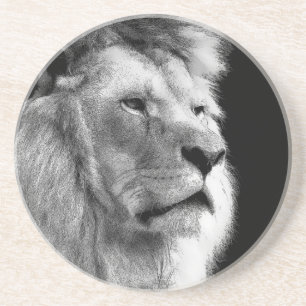 Black White Lion Coaster