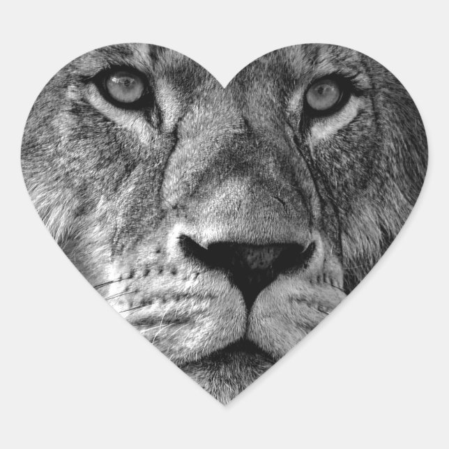Black & White Lion Heart Sticker (Front)