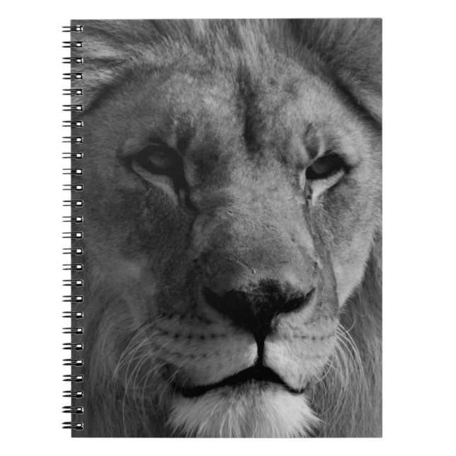 Black & White Lion Notebook (Front)