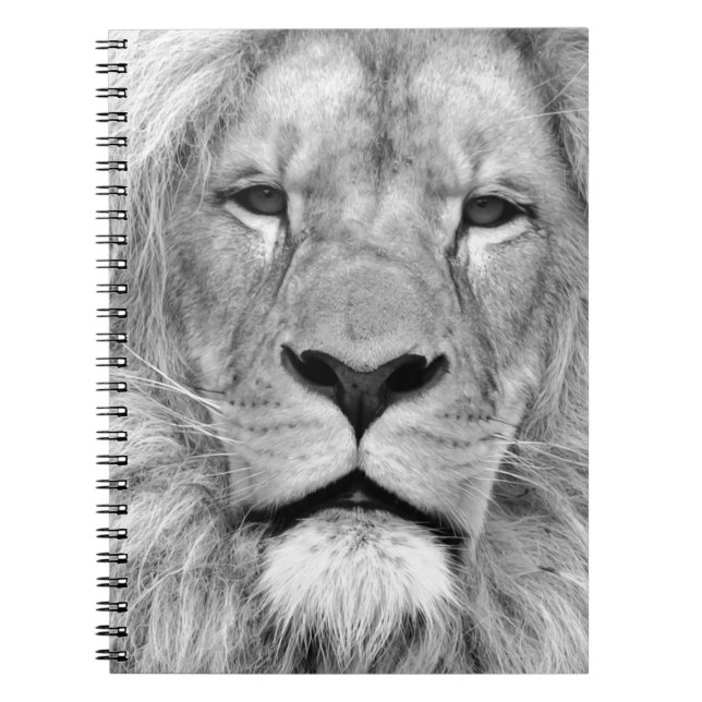 Black & White Lion Notebook (Front)