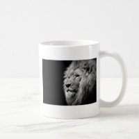 Black White Lion Portrait - Animal Photography