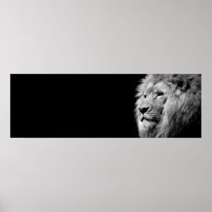 Black White Lion Portrait - Animal Photography Poster