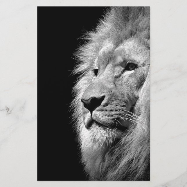 Black White Lion Portrait - Animal Photography Stationery (Front)