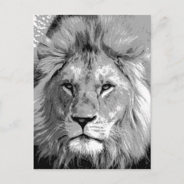 Black White Lion Postcard (Front)