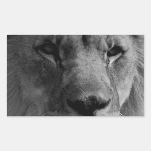 Black & White Lion Rectangular Sticker