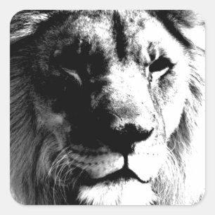 Black & White Lion Square Sticker