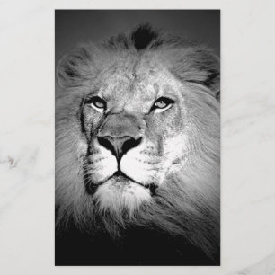 Black & White Lion Stationery