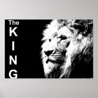 Black White Lion Template Nature Animal The King