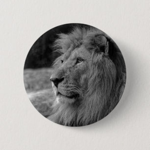 Black & White Lion - Wild Animal 6 Cm Round Badge