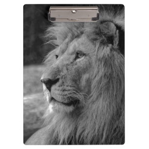 Black & White Lion - Wild Animal Clipboard