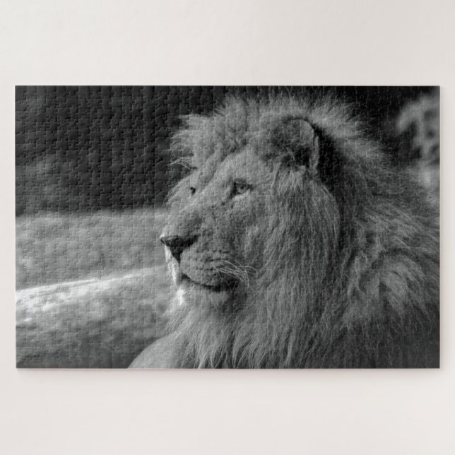 Black & White Lion - Wild Animal Jigsaw Puzzle (Horizontal)