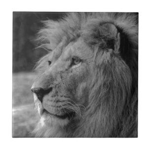 Black & White Lion - Wild Animal Photography Art Ceramic Tile