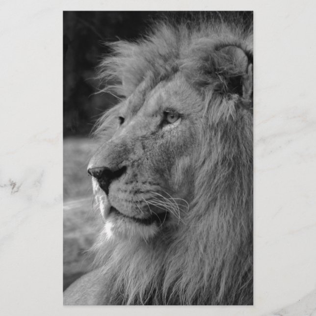 Black & White Lion - Wild Animal Stationery (Front)