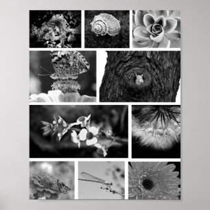 Black & White Mosaic Grid Nature Photography Art Poster