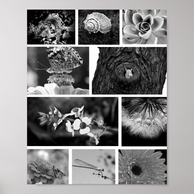 Black & White Mosaic Grid Nature Photography Art Poster (Front)