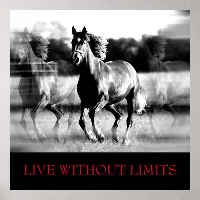 Black White Motivational Horse Live Without Limits Poster (Front)