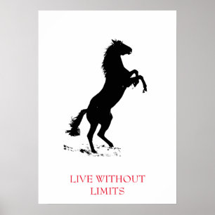 Black White Motivational Horse Live Without Limits Poster