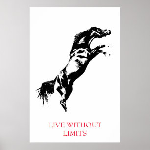 Black White Motivational Horse Live Without Limits Poster