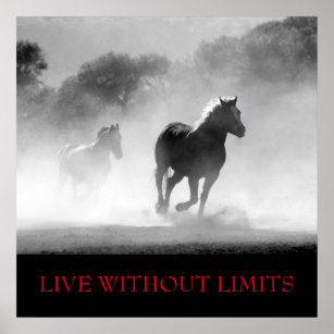 Black White Motivational Horse Live Without Limits Poster