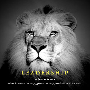 Lion Quote Posters Photo Prints Zazzle Au