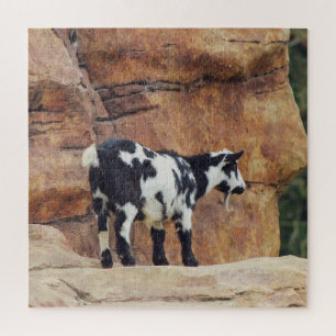 Black & White Mountain Goat on Rocks Jigsaw Puzzle