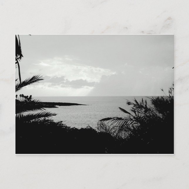Black & White Ocean Scene Postcard (Front)