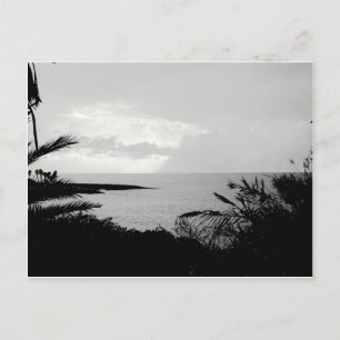 Black & White Ocean View Postcard