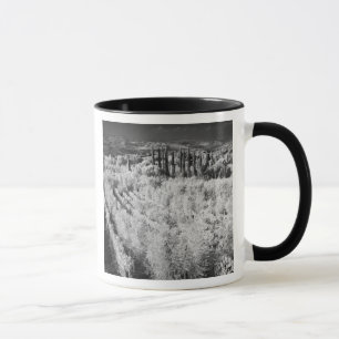 Black & White of vineyards, Montepulciano, Italy Mug